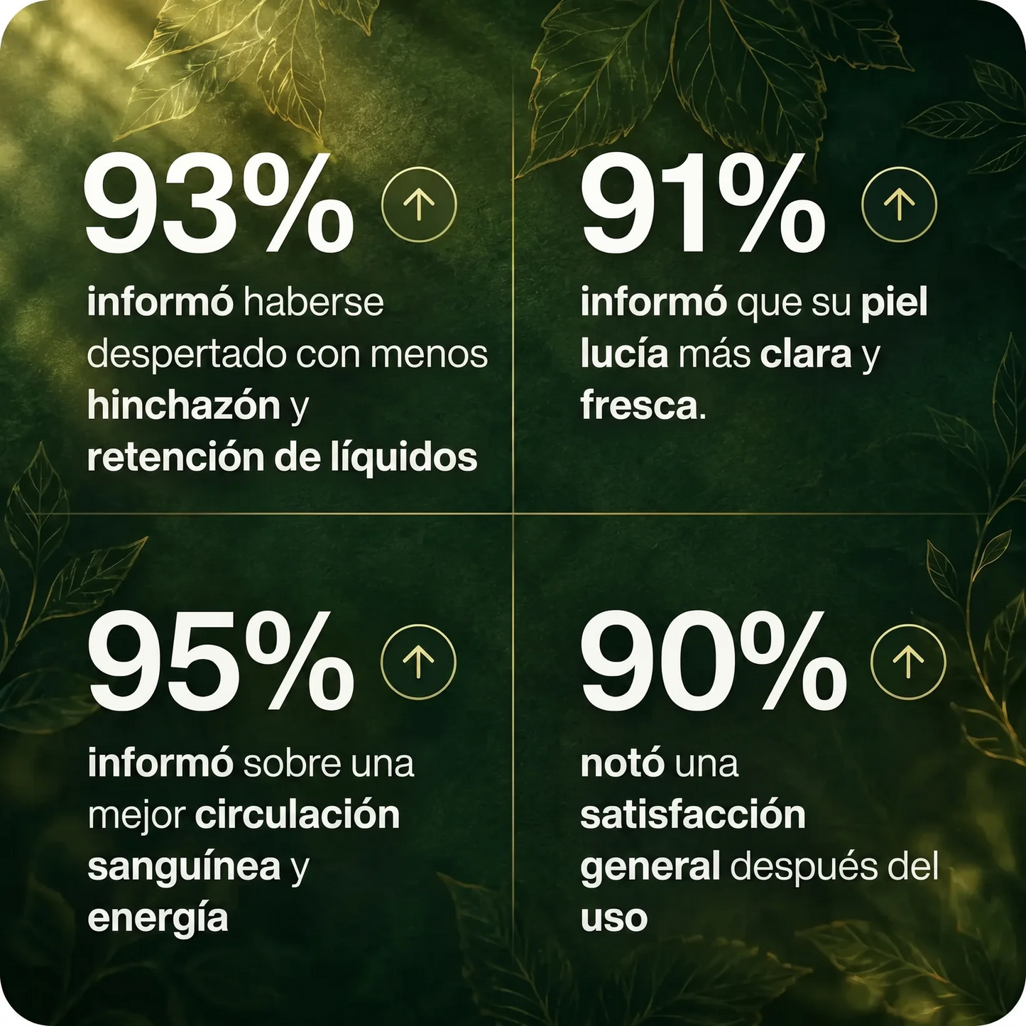 Drenaje Linfático Mayaverra — Gotas Naturales